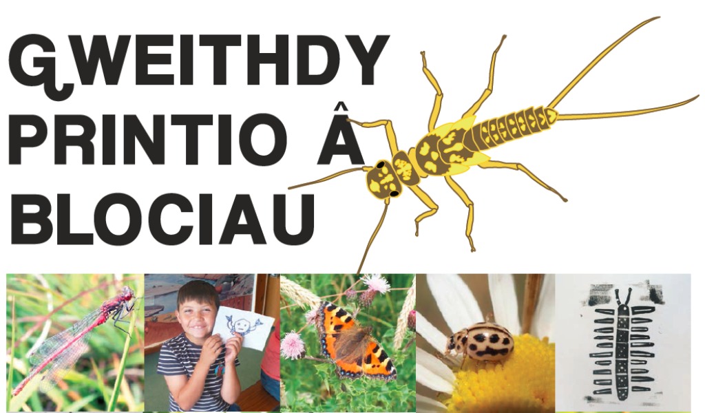 Image text reads "Gweithdy printio a blociau", to the right of the text is a photo of an insect known as 'Scarce Yellow Sally', below are five small square photographs of